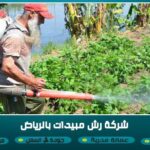 شركة رش مبيدات بالرياض