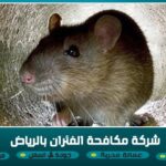 شركة مكافحة فئران بالرياض